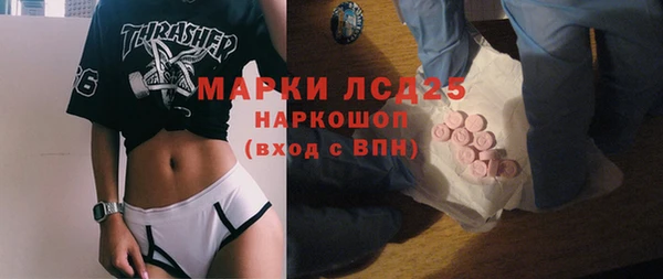 прущие грибы Аркадак