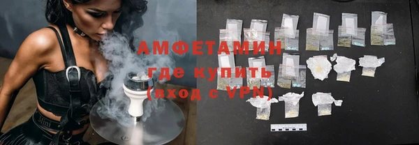 прущие грибы Аркадак