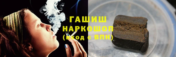 прущие грибы Аркадак