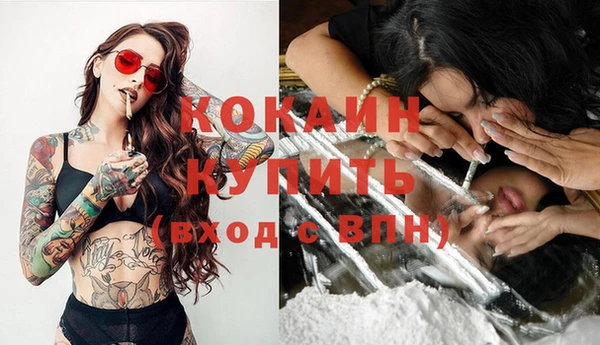 прущие грибы Аркадак
