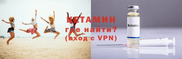 прущие грибы Аркадак