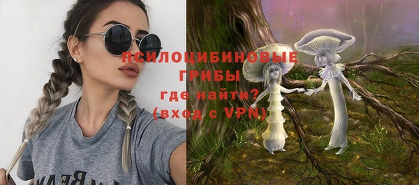 прущие грибы Аркадак