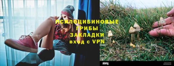 бошки Армянск