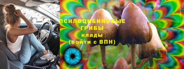 бошки Армянск