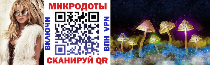 Псилоцибиновые грибы прущие грибы  где купить наркоту  Глазов 