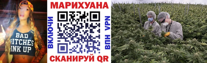 Марихуана сатива  Глазов 